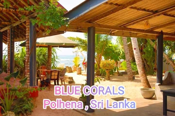 Blue Corals Beach Bungalow มาตารา ภายนอก รูปภาพ