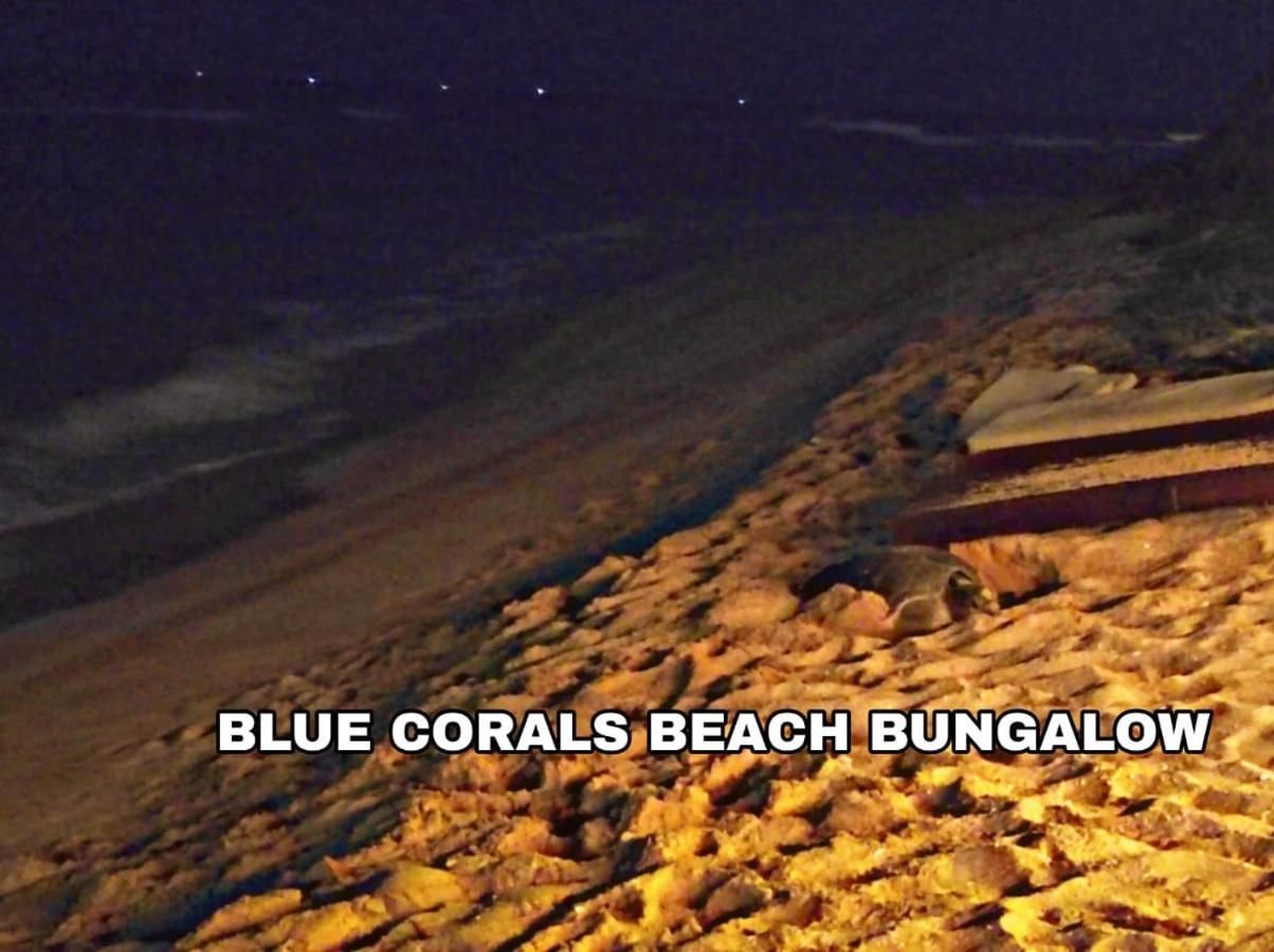 Blue Corals Beach Bungalow มาตารา ภายนอก รูปภาพ